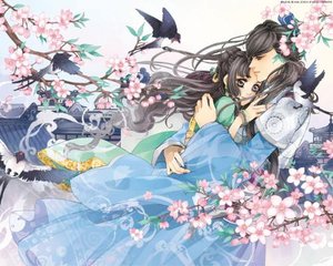 小蓝鸟用户数据